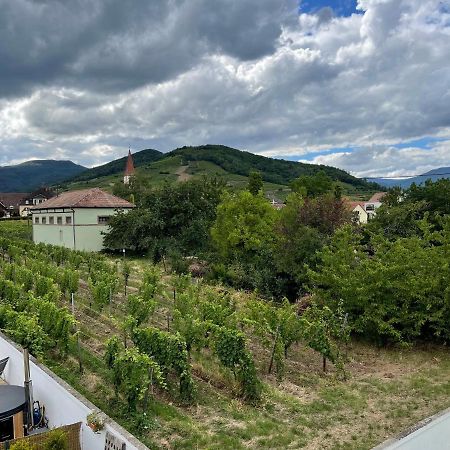 Alsacebnb - Gite 12 Personnes Dans Le Vignoble - Piscine Privee & Spa Ammerschwihr Luaran gambar