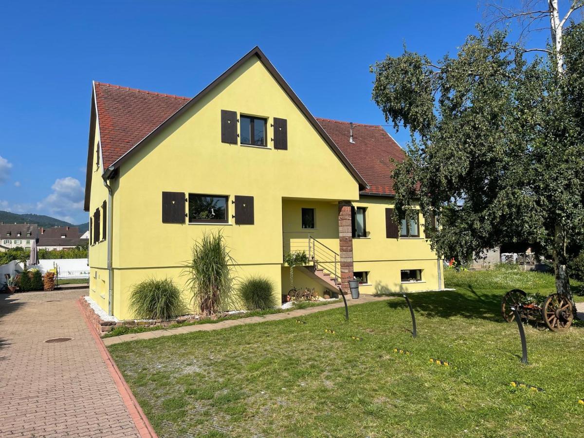 Alsacebnb - Gite 12 Personnes Dans Le Vignoble - Piscine Privee & Spa Ammerschwihr Luaran gambar