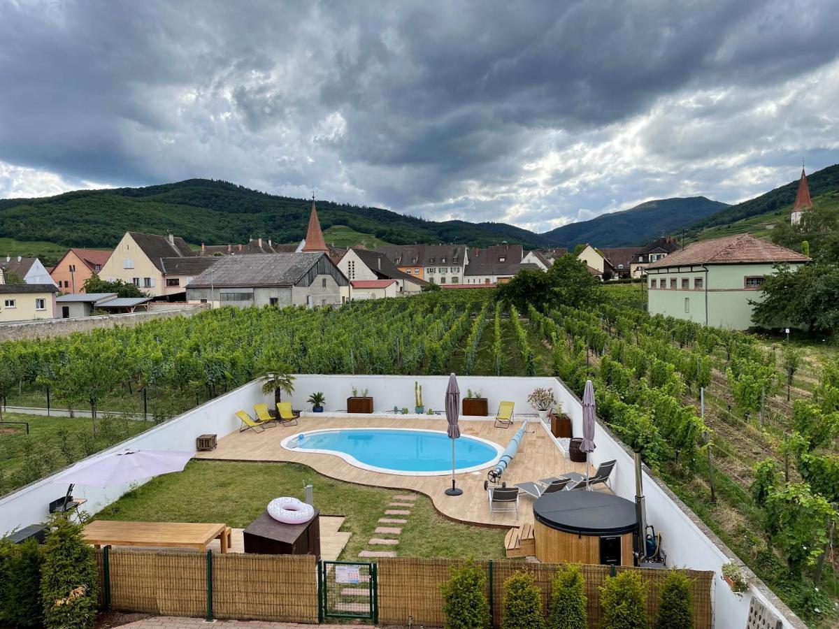 Alsacebnb - Gite 12 Personnes Dans Le Vignoble - Piscine Privee & Spa Ammerschwihr Luaran gambar