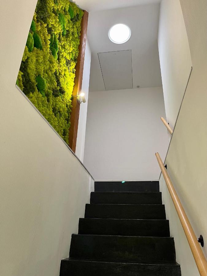 Alsacebnb - Gite 12 Personnes Dans Le Vignoble - Piscine Privee & Spa Ammerschwihr Luaran gambar