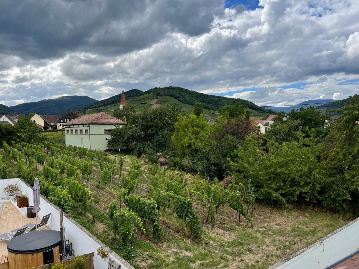 Alsacebnb - Gite 12 Personnes Dans Le Vignoble - Piscine Privee & Spa Ammerschwihr Luaran gambar