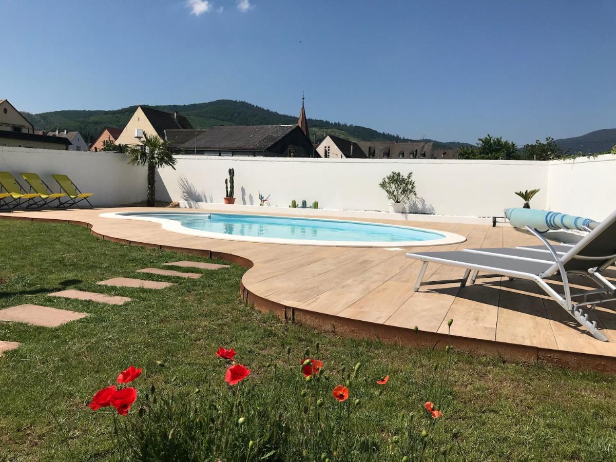 Alsacebnb - Gite 12 Personnes Dans Le Vignoble - Piscine Privee & Spa Ammerschwihr Luaran gambar